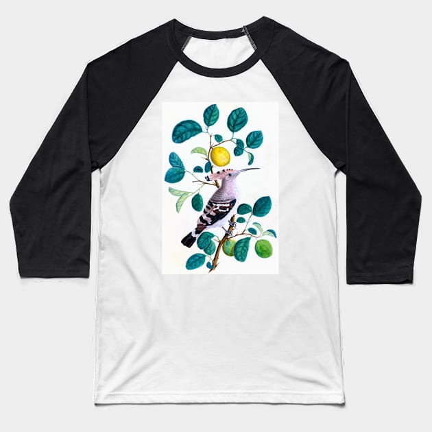 Hoopoe Bird On Lemon Tree 1800 India Baseball T-Shirt by rocketshipretro